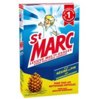 Lessive en poudre ST MARC pin - Boîte 1, 4 kg
