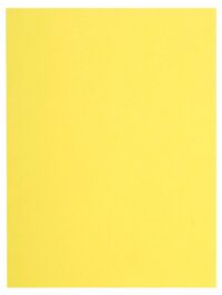 Paquet de 100 chemises FLASH 220 100% recyclé - 24x32cm - Canari