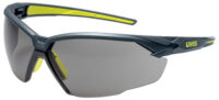 uvex Lunettes de protection suXXeed, oculaires: gris
