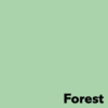 Papier Couleur Forest/Vert 120 g/m² SRA2 Image Coloraction