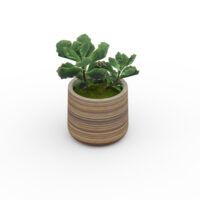 Pot succulente rond D. 15 cm x H. 13 cm céramique marron