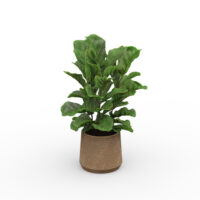 Pot lyrata royal rond D. 35 cm x H. 120 cm corde tressée naturelle