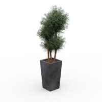 Pot eucalyptus H. 50 cm x L. 26,5 cm x P. 26,5 cm plastique recyclé anthracite