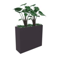 Bac de séparation avec alocasias et fougères H. 180 x L. 90 cm x P. 30 cm abs gris anthracite