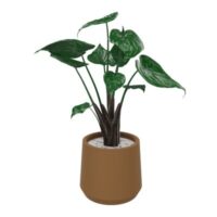 Pot alocasia rond D. 35 cm x H. 95 cm corde tressée naturelle