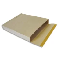 GPV Boîte de 250 kraft armé 26 à soufflet 50