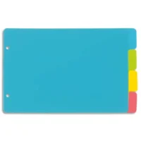 VIQUEL Jeu de 4 intercalaires polypro HAPPYFLUO A5 portrait (classeur à fiche). Coloris fluo multicolores