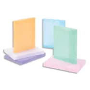 VIQUEL Boîte de classement personnalisable PROPYSOFT dos 3cm, en PP 6/10e. Coloris translucides assortis
