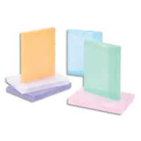 VIQUEL Boîte de classement personnalisable PROPYSOFT dos 3cm, en PP 6/10e. Coloris translucides assortis