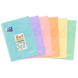 OXFORD Cahier easyBook couverture PP reliure piqûre 96 pages Seyès format 21x29,7cm.Coloris assorti paste