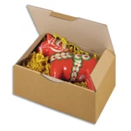 Boîte postale en carton simple cannelure Havane - Dimensions : 25 x 15 x 10 cm