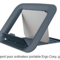 LEITZ Support pour ordinateur portable Ergo Cosy, gris